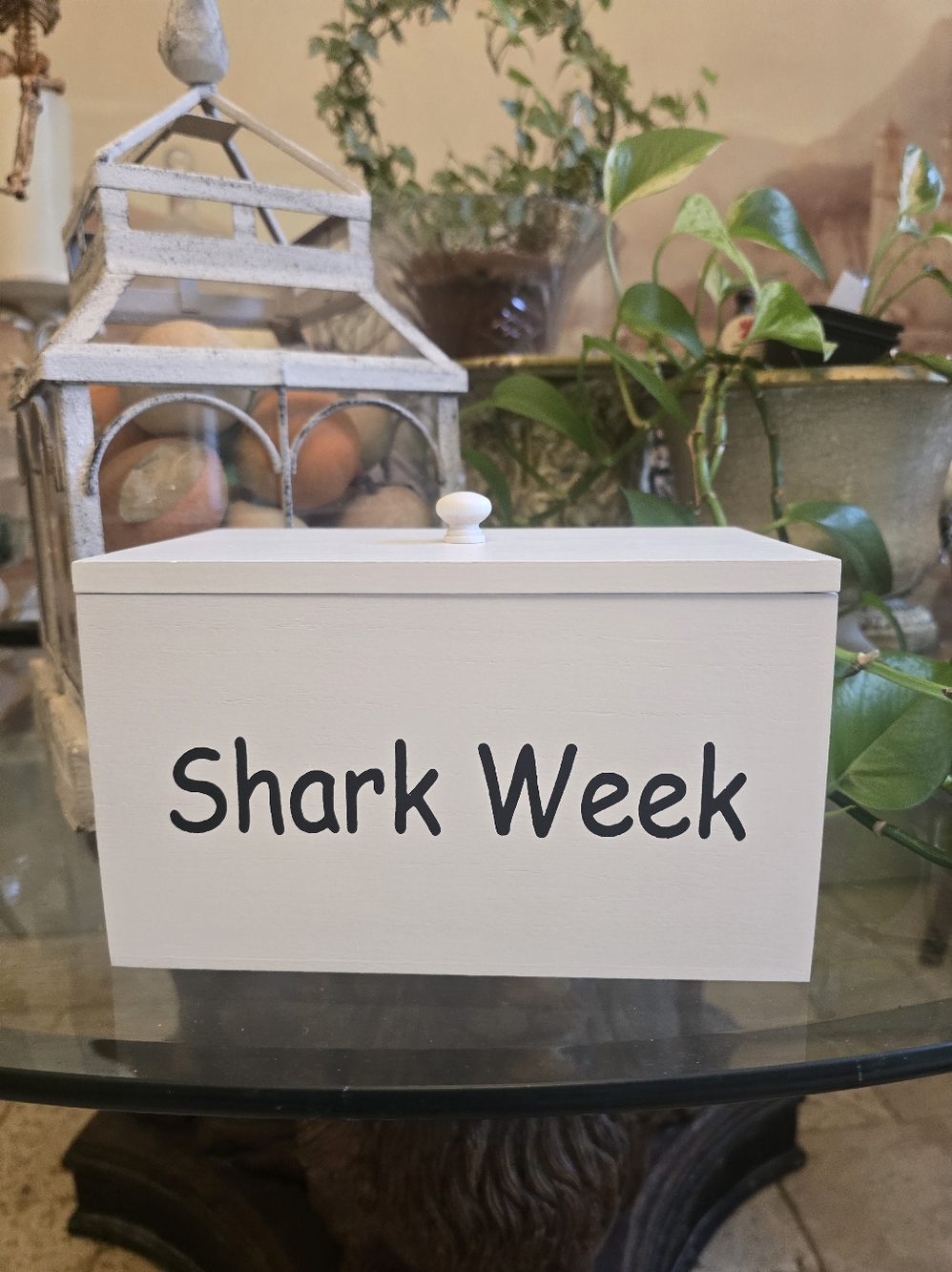 Shark Week Period Tampon Pad Box